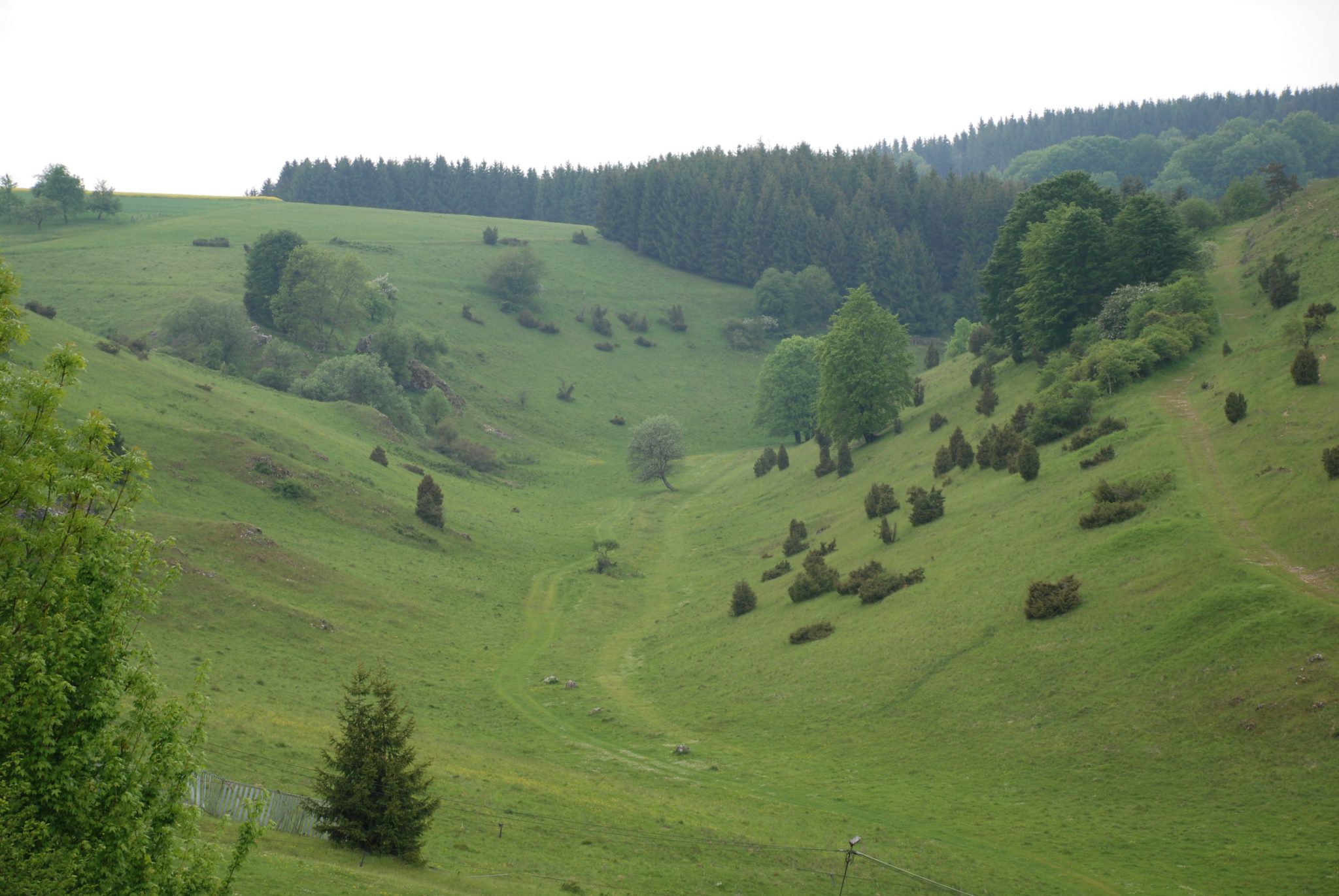Gaststätte RSV Söhnstetten